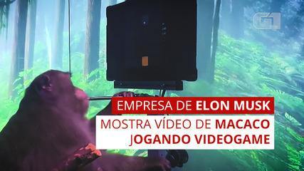 Elon Musk mostra un video di una scimmia che gioca ai videogiochi con la mente