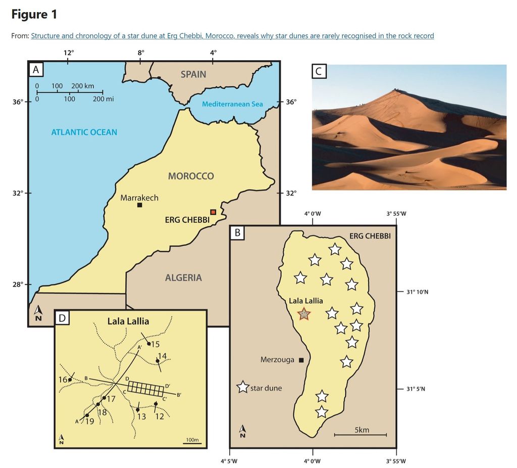 (Immagine: Bristow et al., 2024/Scientific Reports)