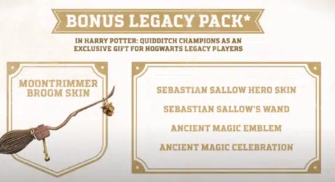 L'eredità di Hogwarts con i campioni di Harry Potter Quidditch